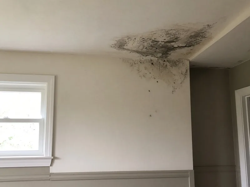 Moisture staining on a residential ceiling and wall